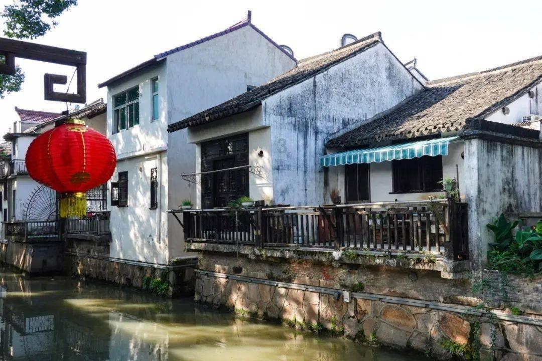 救援可爱小猪仔